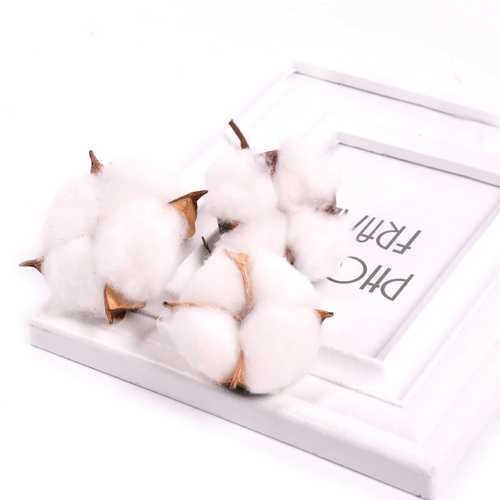 5 шт. искусственные цветы хлопковая капука сухие украшение для дома на осень