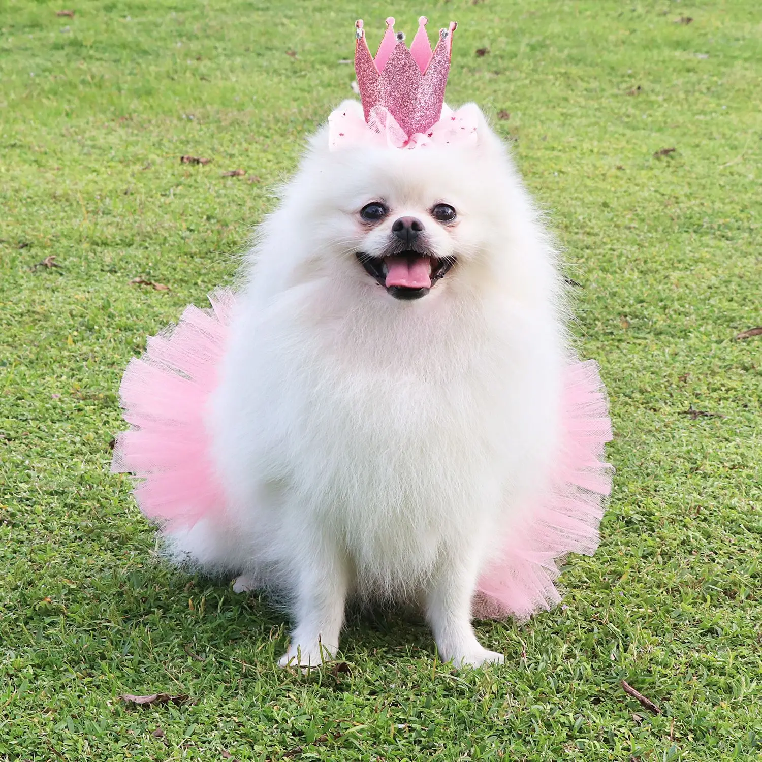 2 шт./компл. юбка пачка для домашнего питомца милые вечерние юбки пузырьки костюм