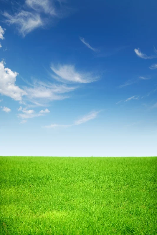 Laeacco Natural Scenery Green Grass Blue Sky Cloud Room Decro Portrait Photographic Backgrounds Backdrops Photocall | Электроника