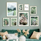 Река Маргаритка белый цветок Лес Тигр Зеленый пейзаж настенная живопись холст постеры и принты картинки для декора гостиной