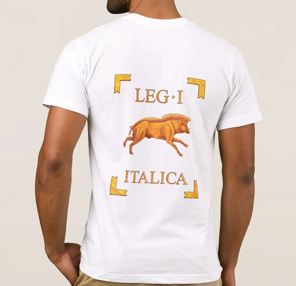 В 1st легион Italica дикий кабан отображается на спине в качестве легионера Vexillum Для