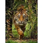 Алмазная 5D картина с тигр, Алмазная мозаика, картина из круглых страз, мультяшный Декор для дома