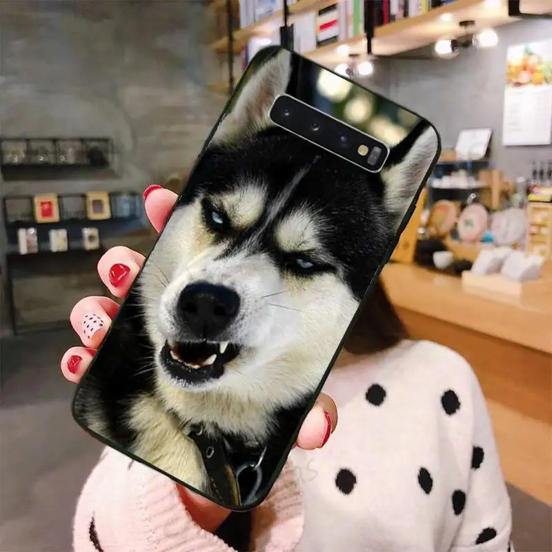 

cute lovely Husky dog pet Phone Case For Samsung galaxy S 7 8 9 10 20 edge A 6 10 20 30 50 51 70 note 10 plus