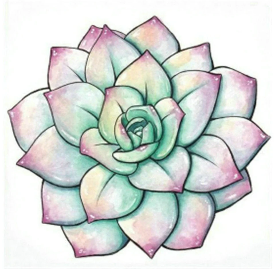 

5D diamond painting plant cactus AB drills full square / round diamond mosaic DIY handicraft embroidery