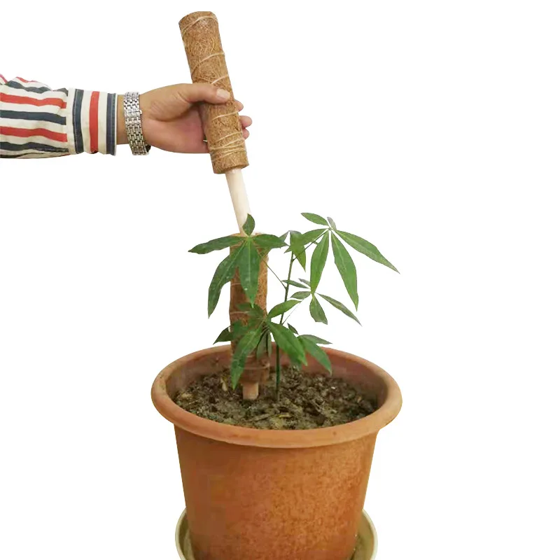 

Coir Moss Stick Coir Moss Totem Pole For Creepers Plant Support Extension Climbing Indoor Garden Plants 50/60CM