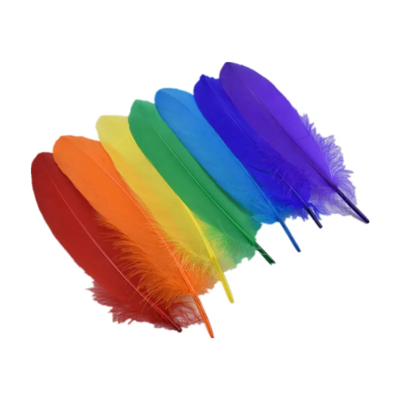 

Natural Swan Crafts Plumes Table Centerpieces 20Pcs Colorful Hard Stick Goose Feather Feathers for Decoration