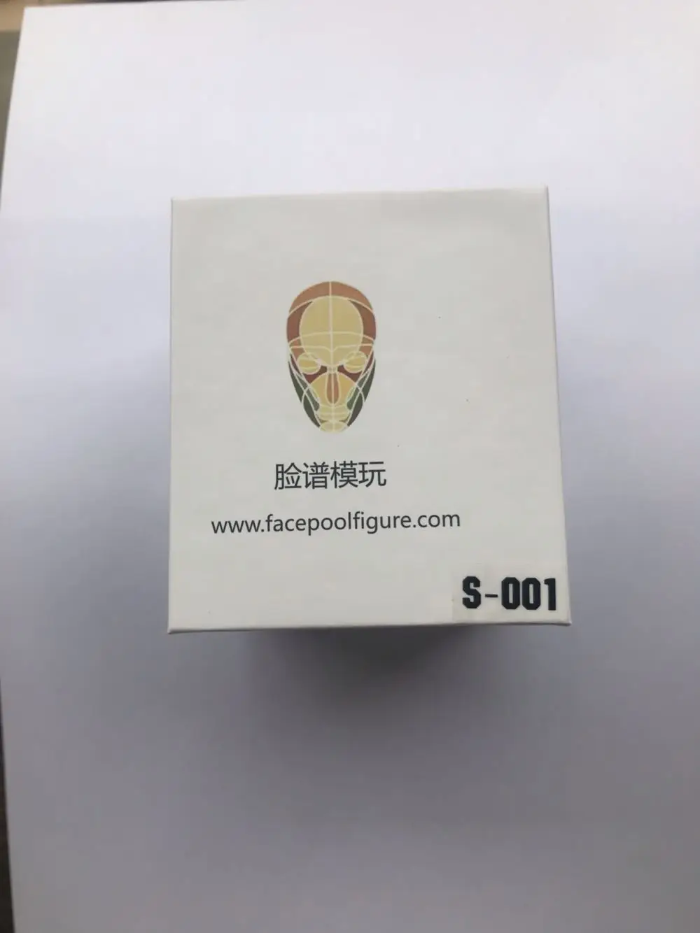 

Facepool Figure Head 1/6 Scale Male Head Sculpt with Expression FP-S-001 Head for 12inch action figure