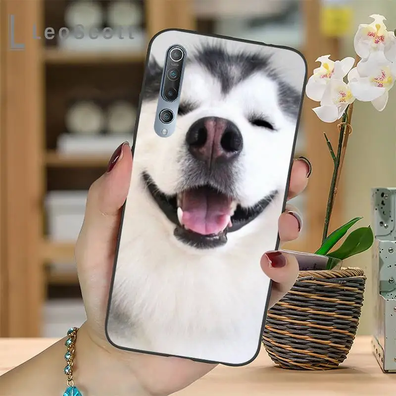 

Animal Husky cute Puppy Dog Phone Case For Xiaomi Redmi 7 8 9t a3Pro 9se k20 mi8 max3 lite 9 note 9s 10 pro