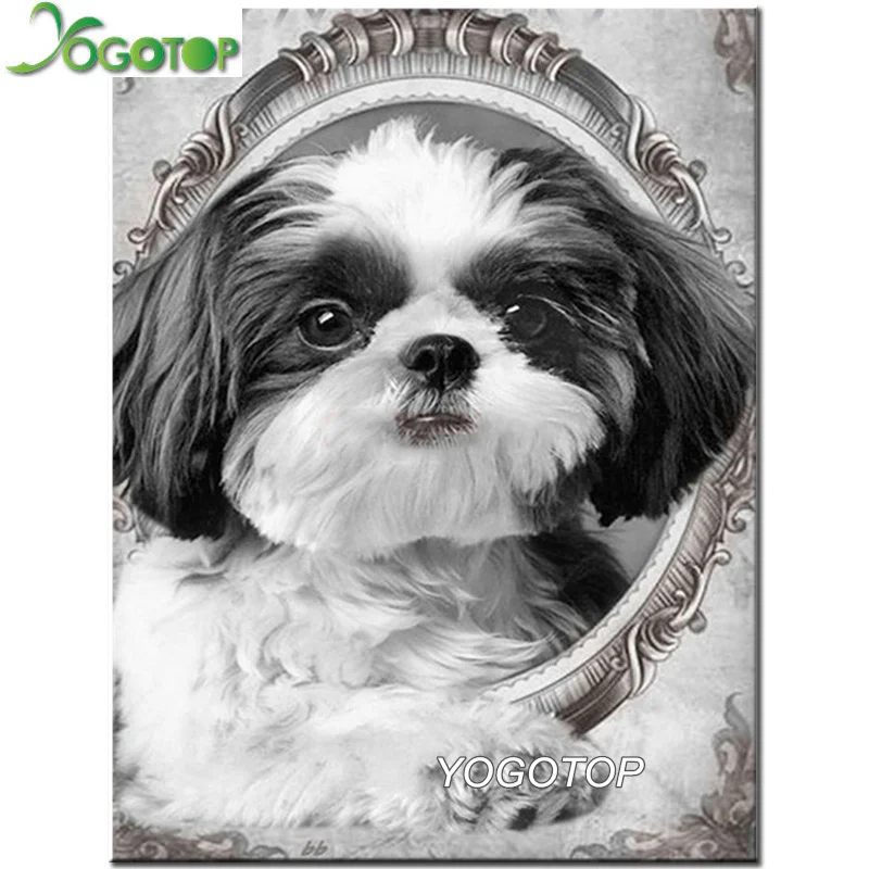 5d diy алмазная живопись Shih Tzu с изображением собаки вышивка крестиком полная