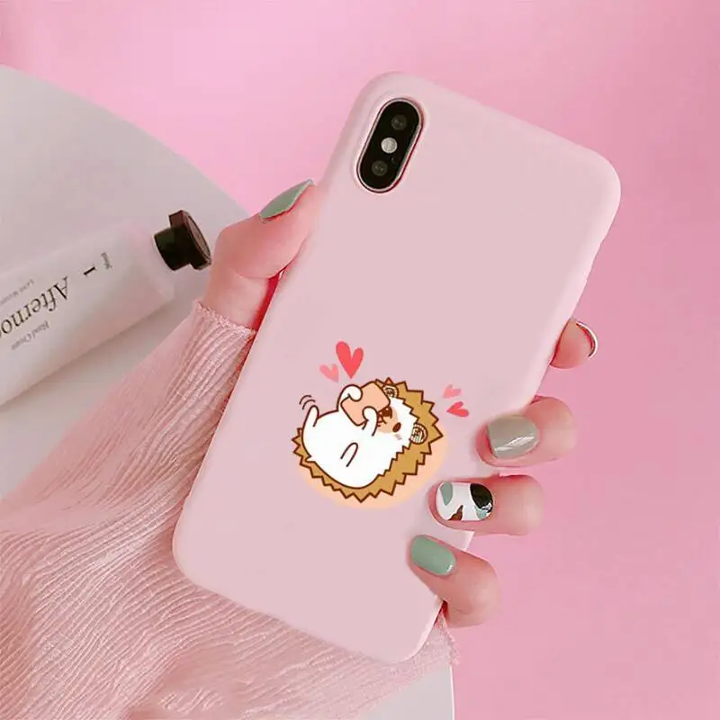 

Cartoon animal cute hedgehog Phone Case Candy Color for iPhone 6 7 8 11 12 s mini pro X XS XR MAX Plus