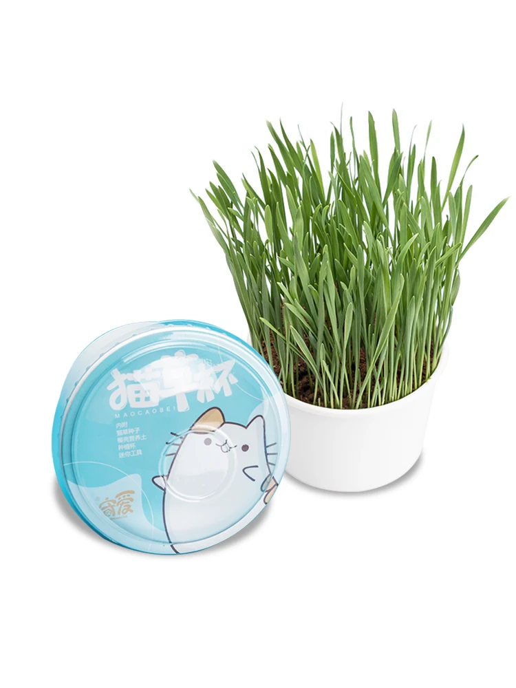 Фото Shou love cat посадка травы набор гидропоники кошачья мята закуски Пушистая кошка