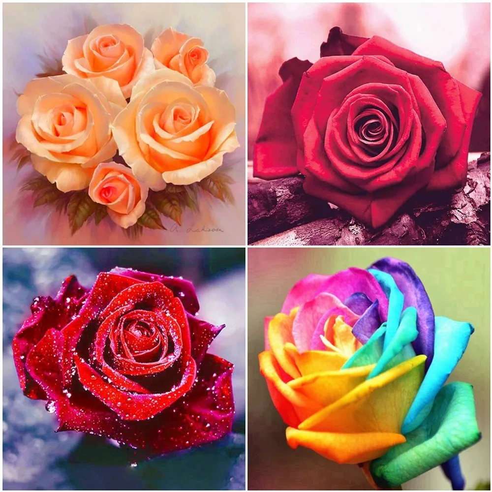 Алмазная вышивка радужной расцветки розы 5D DIY картина цветок полностью
