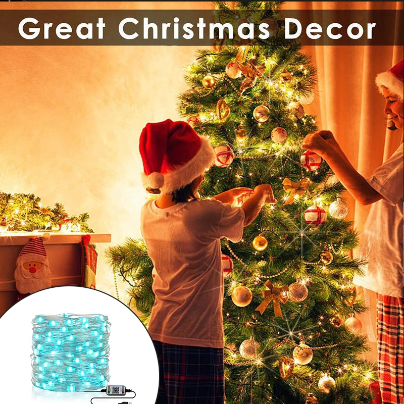 

Newest Waterproof Christmas Light 5M 10M RGB Led String Fairy Light Colorful Light For Wedding Party Holiday