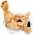

Reaching Ginger Cat Sticker for Car Bumper Sticker Decal for Toilet Refrigerator Kitchen Cabient Window