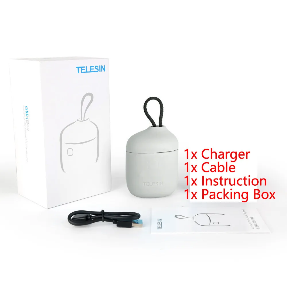 Charger only Grey TELESIN 2 упаковки LPE6 батарея и 2 слота зарядное устройство SD кард-ридер коробка для хранения для Canon 5D Mark II III для EOS 6D 7D 80D батарея - Цвет: Charger only Grey