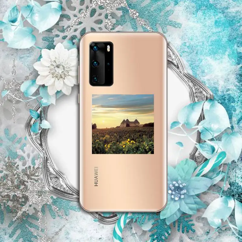 

Cottagecore Style painting Phone Case Transparent for Huawei P honor 8 10i 20 30 40 smart 2019