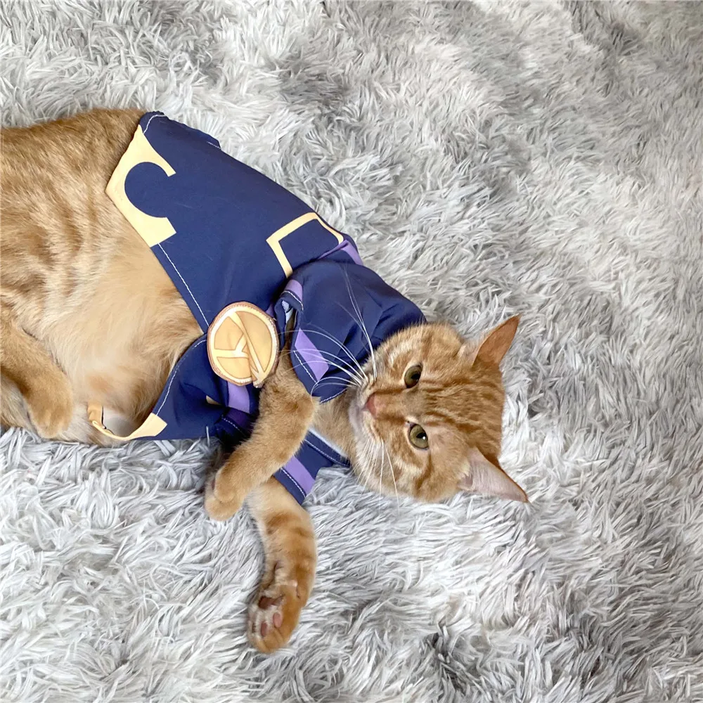 Костюм для косплея абацио из Невероятные приключения Джоджо |