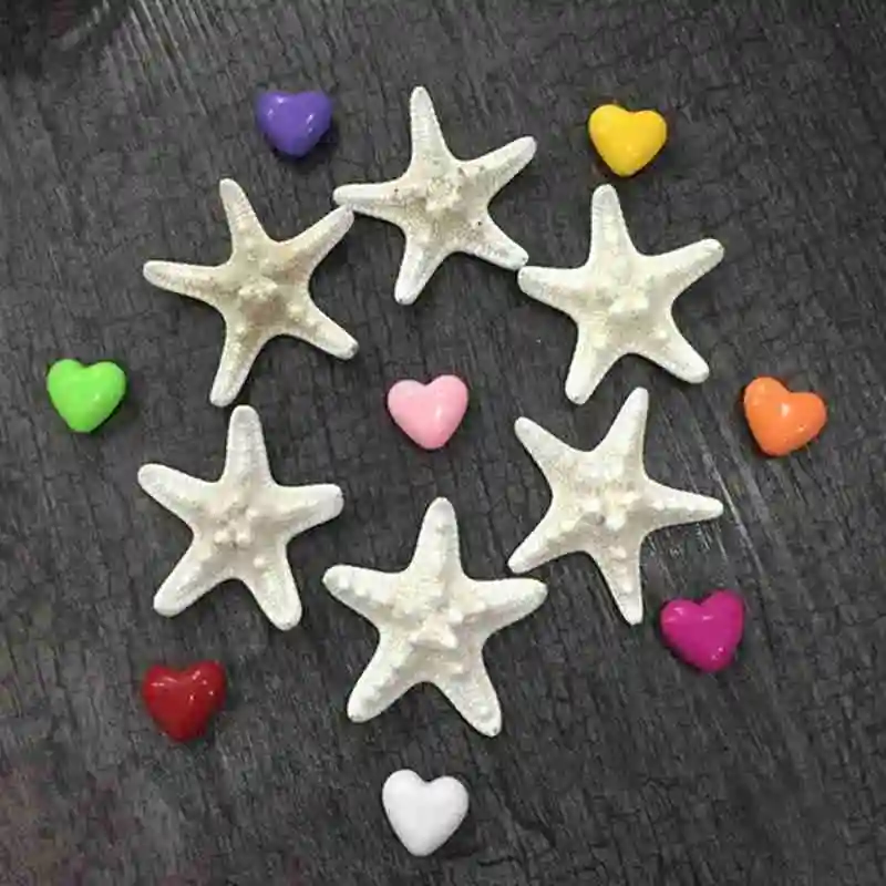 

10Pcs /set Starfish Specimen Ornaments Shooting Props Conch Shell Bay Window Decoration