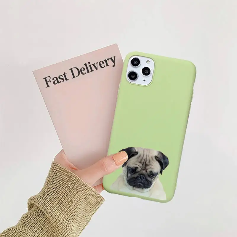 

Pug dog animal high quality Phone Case Candy Color for iPhone 6 7 8 11 12 s mini pro X XS XR MAX Plus