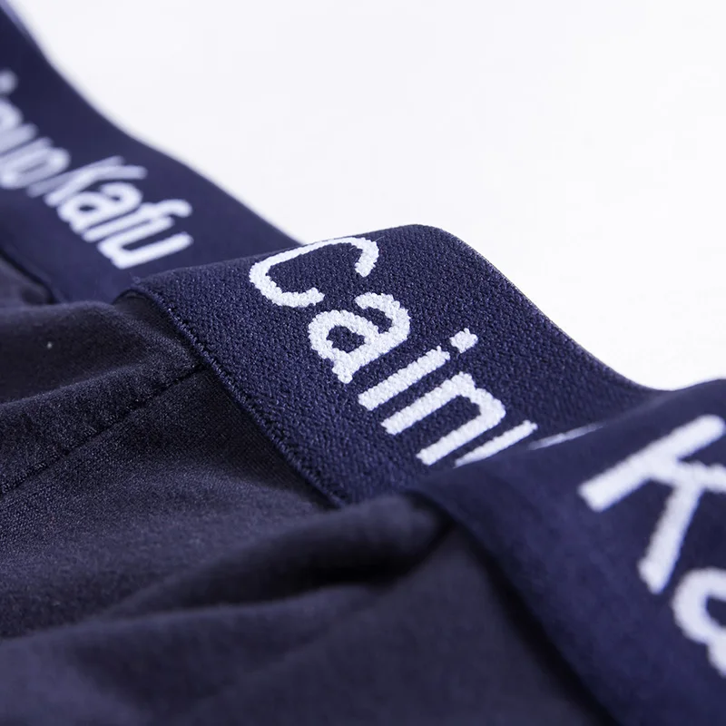 4pcs/Lot Men's Underwear Male New Arrival Modal Solid Briefs Underpants for Men Brief Men Sexy Slip Hombre Plus XXXXL-7XL