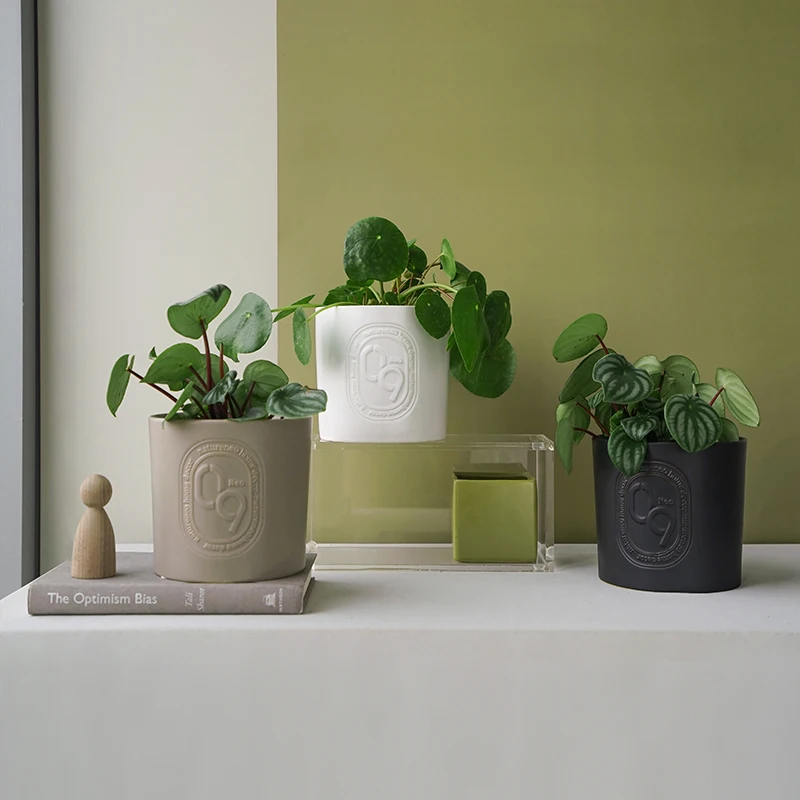 

Простой скандинавский цветочный горшок, креативные керамические аксессуары для черного балкона, горшки для растений, горшки для сада, полу...