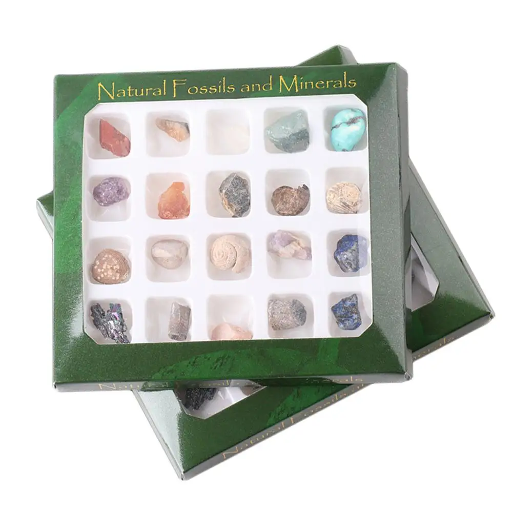 20 шт./компл. окаменелости руды набор орнамент натуральный камень ремесло