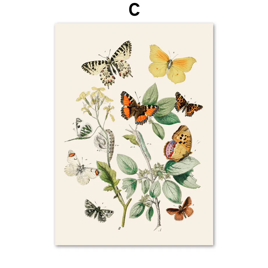 

Leaves Flower Butterfly Nordic Posters And Prints Lepidopterist Insect Art Canvas Painting Wall Pictures For Living Room Decor