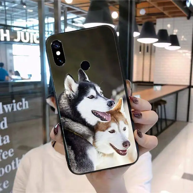 

Husky dog Colorful Cute Phone Case For Xiaomi Redmi 7 8 9t 9se k20 mi8 max3 lite 9 note 9s 10 pro