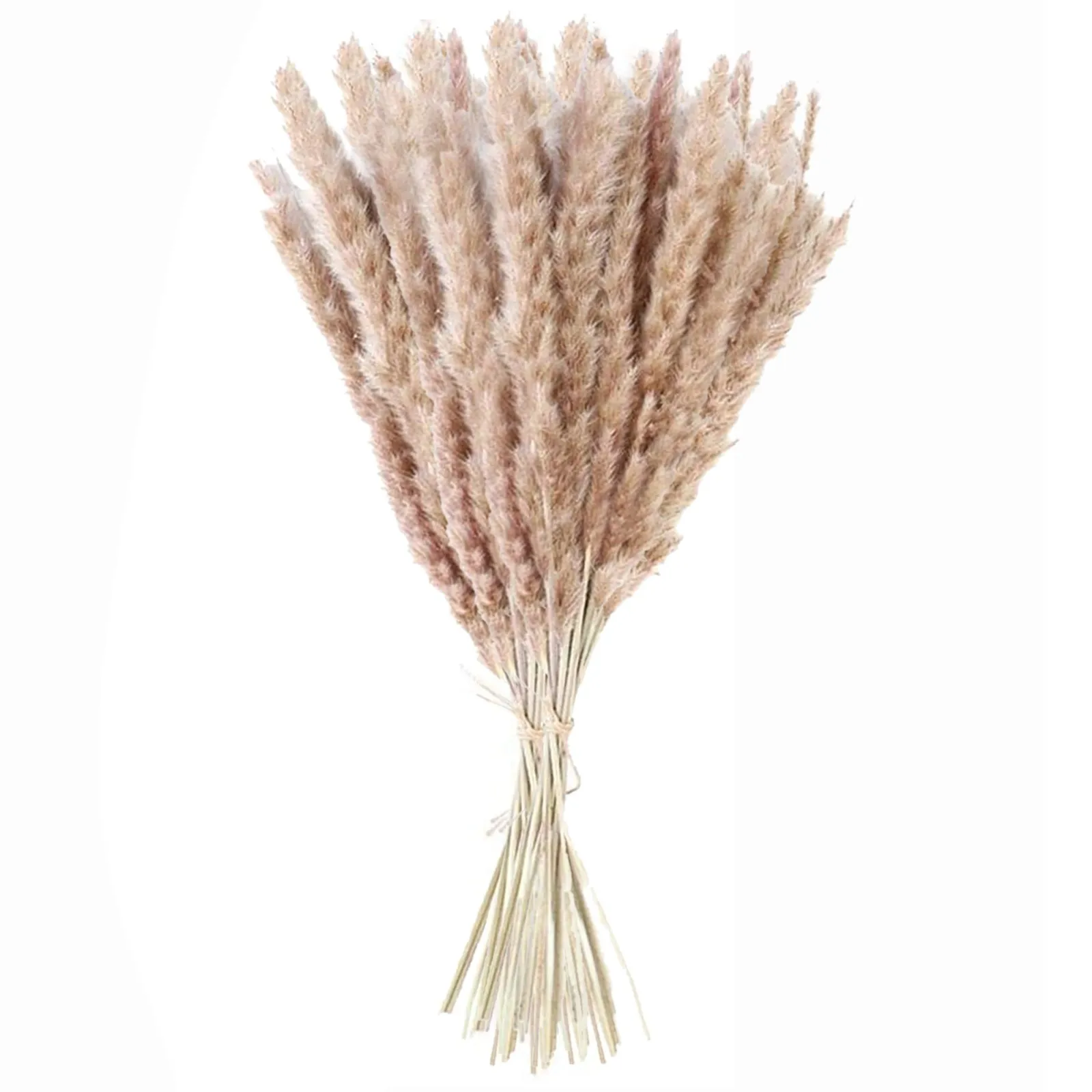 

Dried Pampas Grass Plumes Natural Dried Flowers Brown Bouquet Boho Decoration Home Bedroom Living Room Wedding Vase Door Wreath