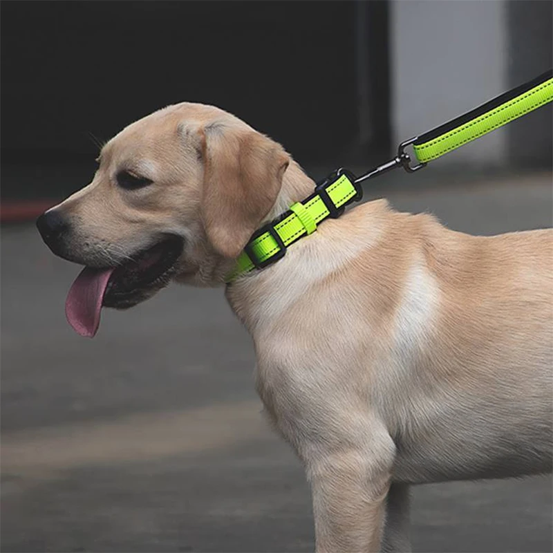 

Pet Collar Dog Collar Dog Traction Rope Buckle Design Adjustable Length Safety Reflective Strip Pet Supplies Dog Accessories