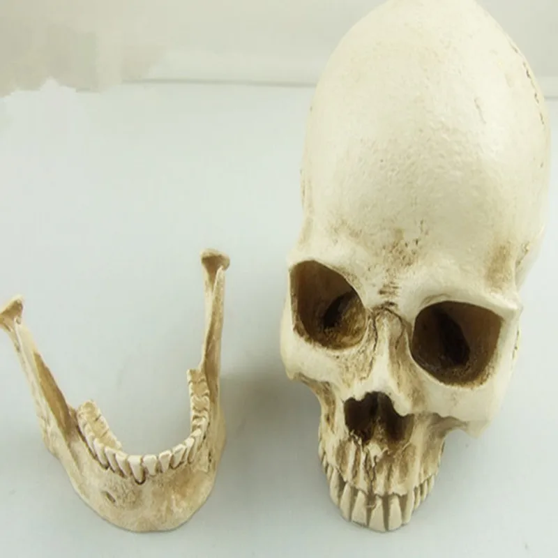 Мини-модель черепа и костей из смолы модель медицинского скелета искусство