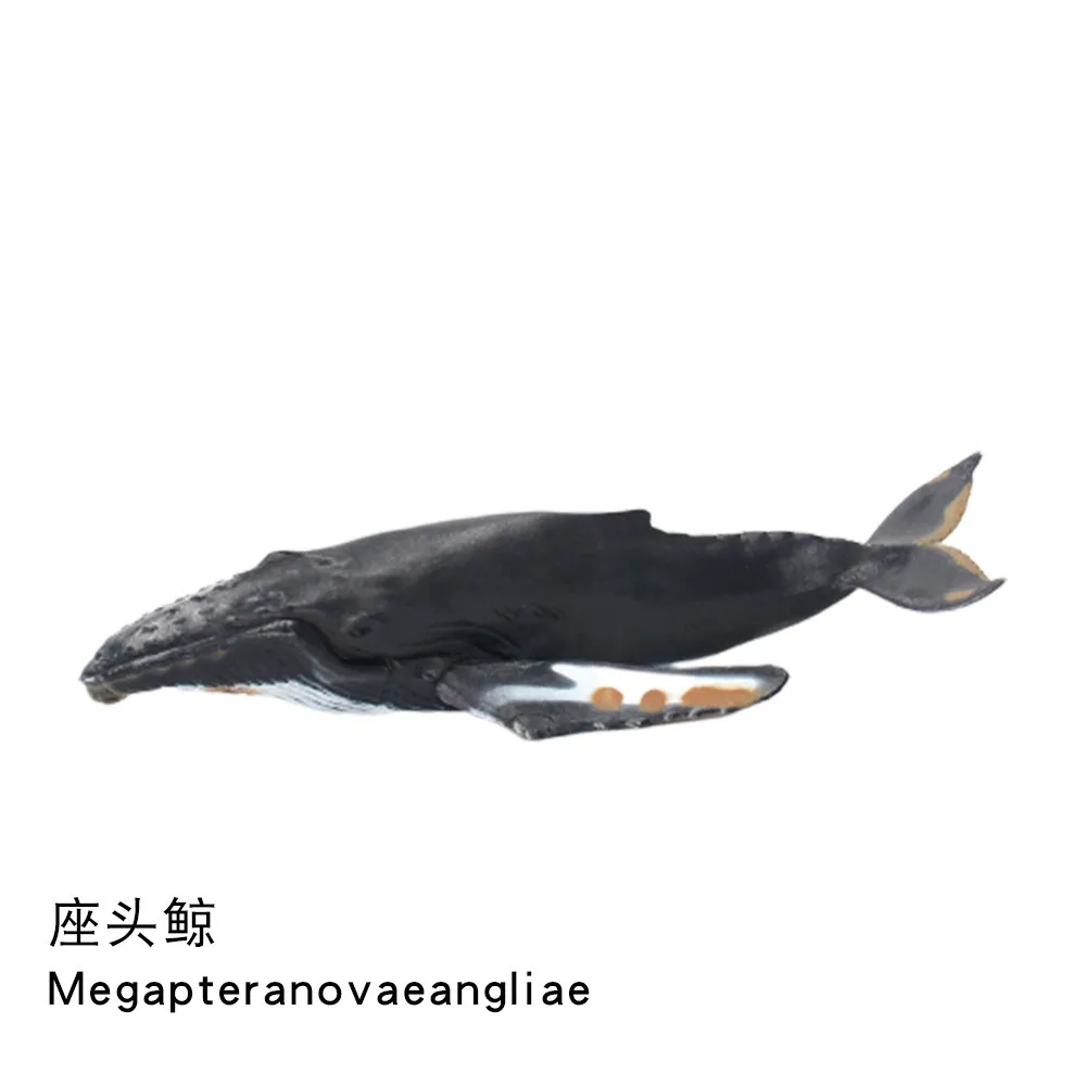 17-21 см полые морские животные модель животное горбатый Дельфин сперма Молот Акула синий пилот КИТ Акула Белуга игрушки подарок