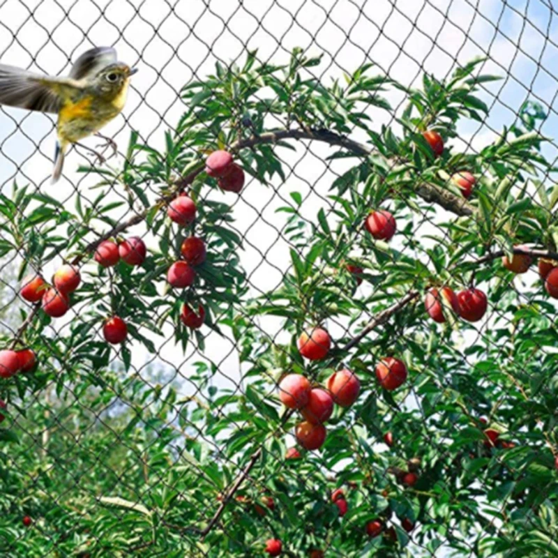 

Anti Bird Net Crop Netting Mesh Garden Fruit Plant Tree Pond Protection Netting Vegetable Care Garden Tools Supplies