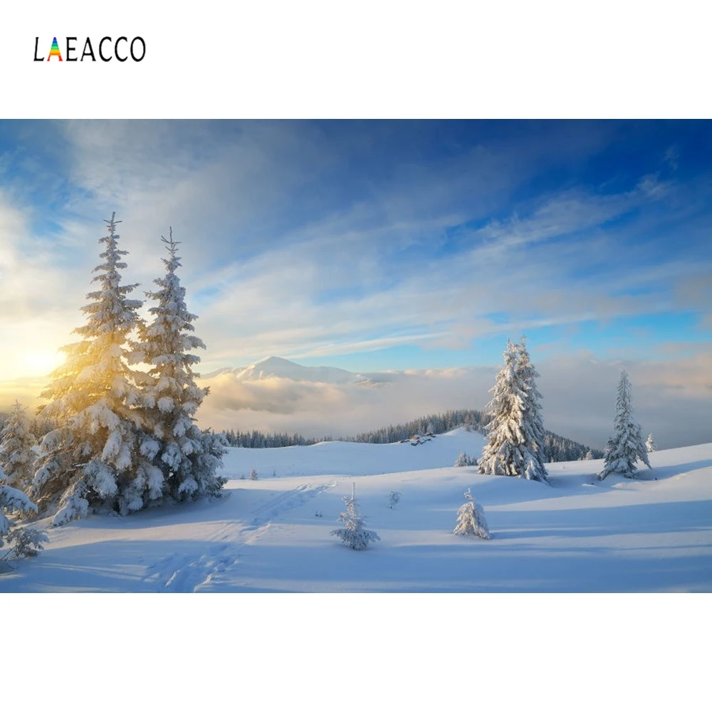 Laeacco Зимний снег дикий лес пейзаж фотографии фоны винил фото фон
