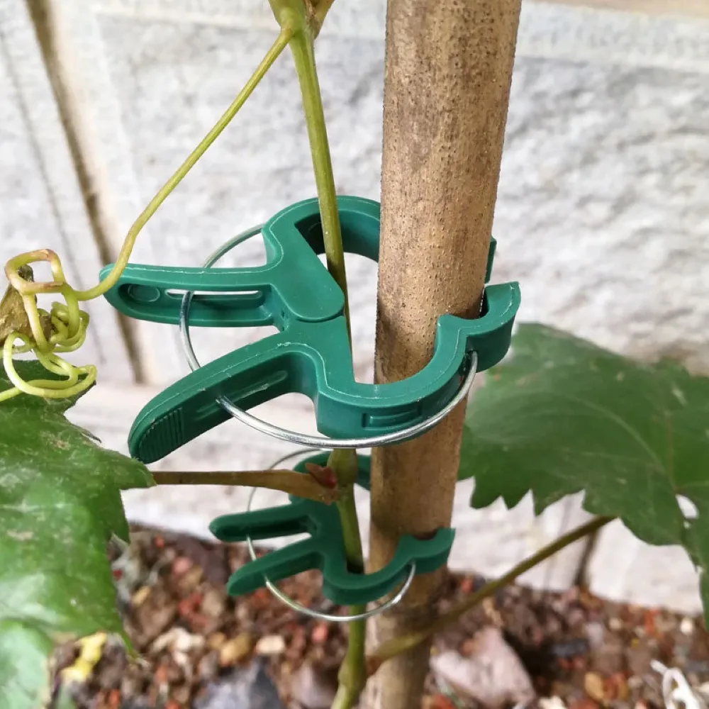 

20 PCS Plant Support Clips Reusable Garden Flower Vine Tomato Plant Clips for Supporting Stems Stalks Vines Grow