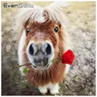 алмазная живопись полного площади осел Diamond мозаику алмазов животных вышивка крестом пяльцев алмазной вышивки незавершенной свадьбу декор