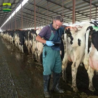 Veterinary testing machine probe cattle Vet Pregnancy Detector sheep Portable Waterproof scanner probe pig dog Accessories