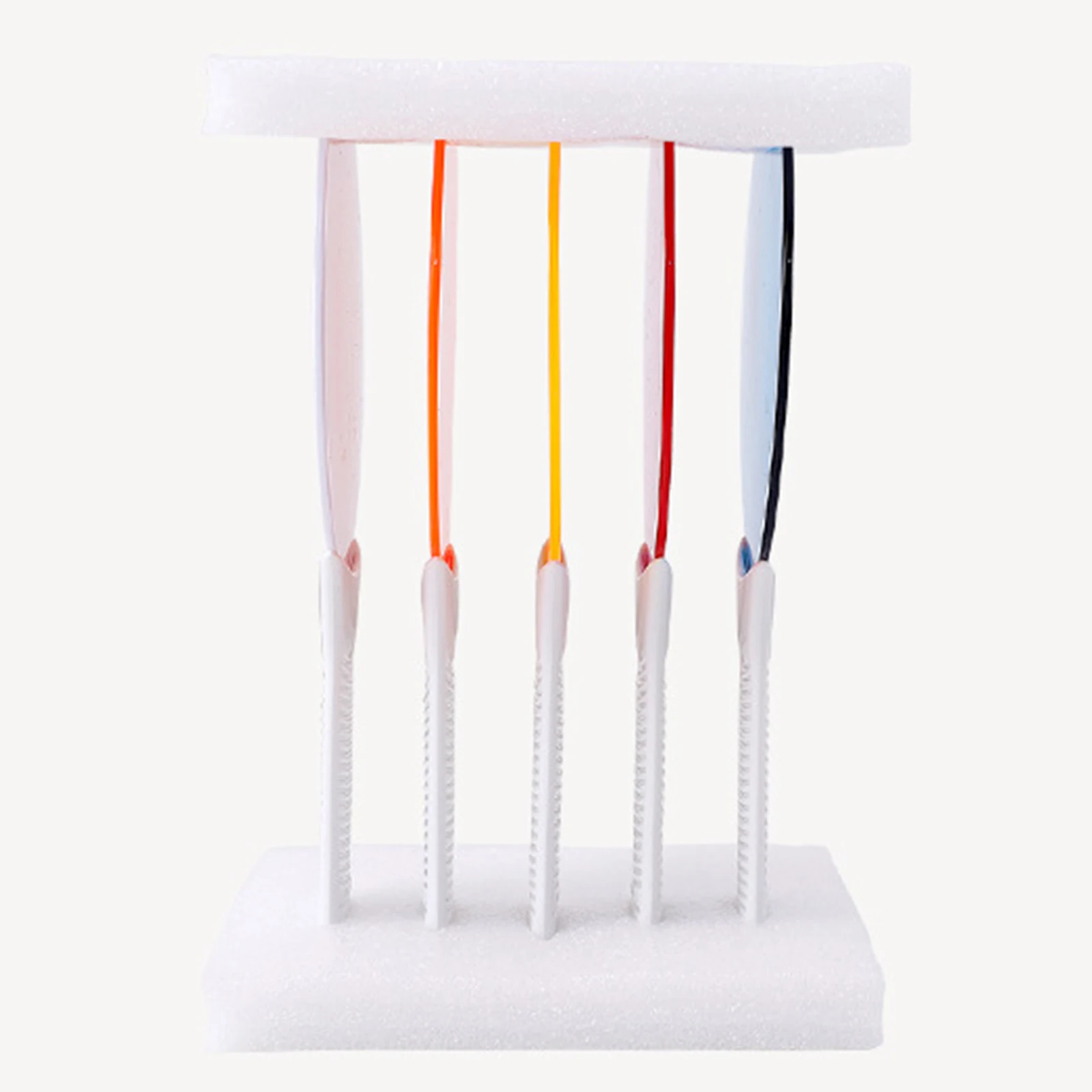 

5pcs Color Paddles Kids Color Toys EArrly Developmental Toys for Kids