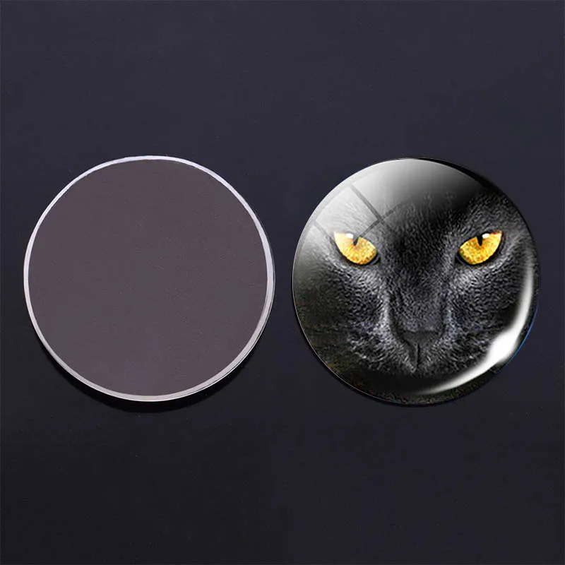 Магнит на холодильник с изображением головы волка 30 мм | Дом и сад