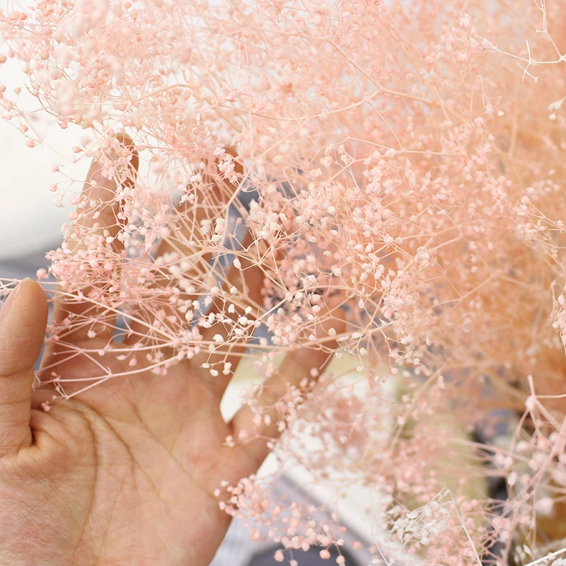 

Dry Flowers Forever Dried Million Babybreath Bouquet,Nature Dry Eternell Gypsophila Flower,Mini Babys Breath Wedding Home Decor