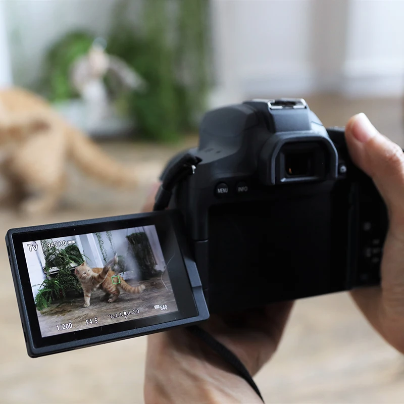 Canon 850D DSLR camera suitable for portrait scenery picture quality fast focus simple operation and rich functions | Электроника