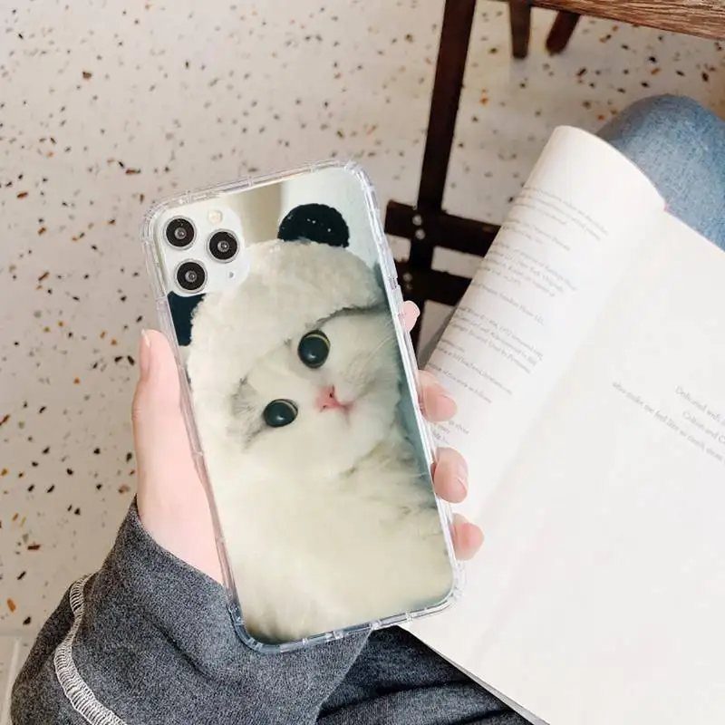 

cat cute animal high quality Phone Case Transparent soft For iphone 5 5s 5c se 6 6s 7 8 11 12 plus mini x xs xr pro max