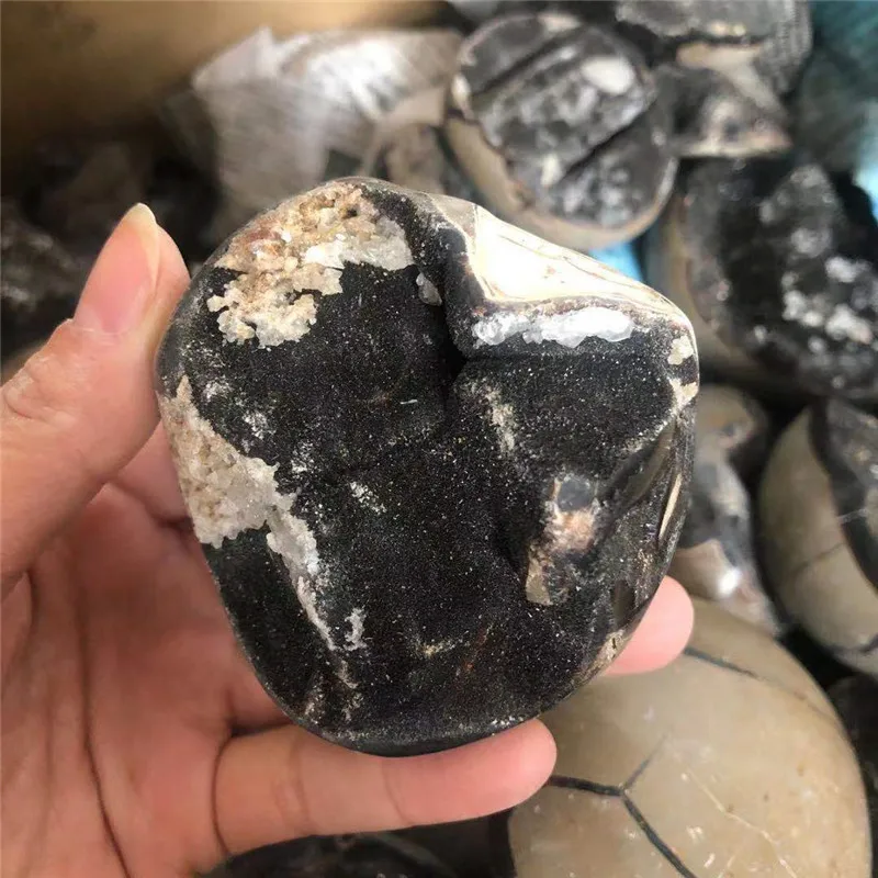 

Natural Rock Septarium Rough Crystal Geode Cluster Mineral Specimen Fossil Decoration Natural Stones and Crystals