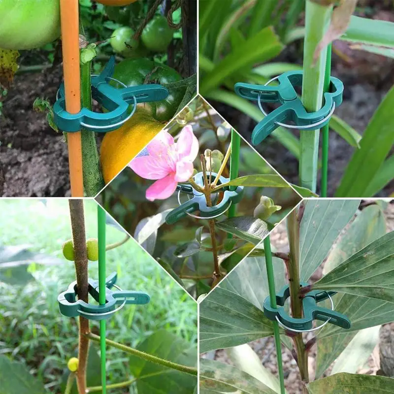 

20/40/60Pcs Fastener Greenhouse Bracket Pole Fixed Clamp Plants Flower Seedling Stem Support Grafting Stakes Connector Clip