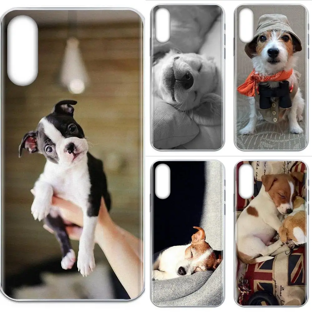 Мягкий резиновый чехол для телефона Джек Рассел терьер поп собака Xiaomi Mi CC9 CC9E 9T mi10