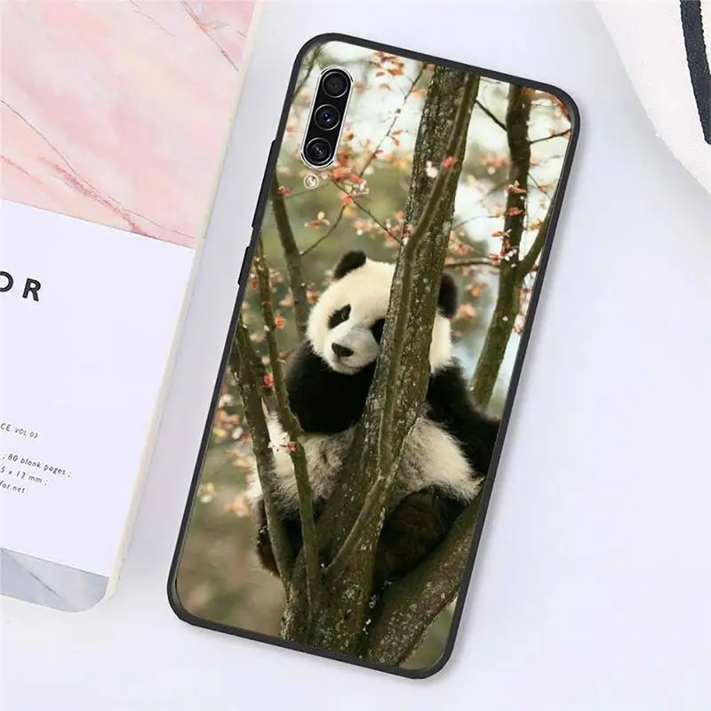 

panda cute animal Phone Cases For Samsung galaxy S 9 10 20 A 10 21 30 31 40 50 51 71 s note 20 j 4 2018 plus Luxury brand shell