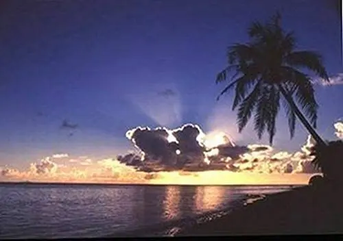 

Sunrise Paradise - Tropical Beach Poster Metal Tin Sign 8x12 Inch Home Kitchen Bedroom Bar Sign Decoration Posters Tin Sign