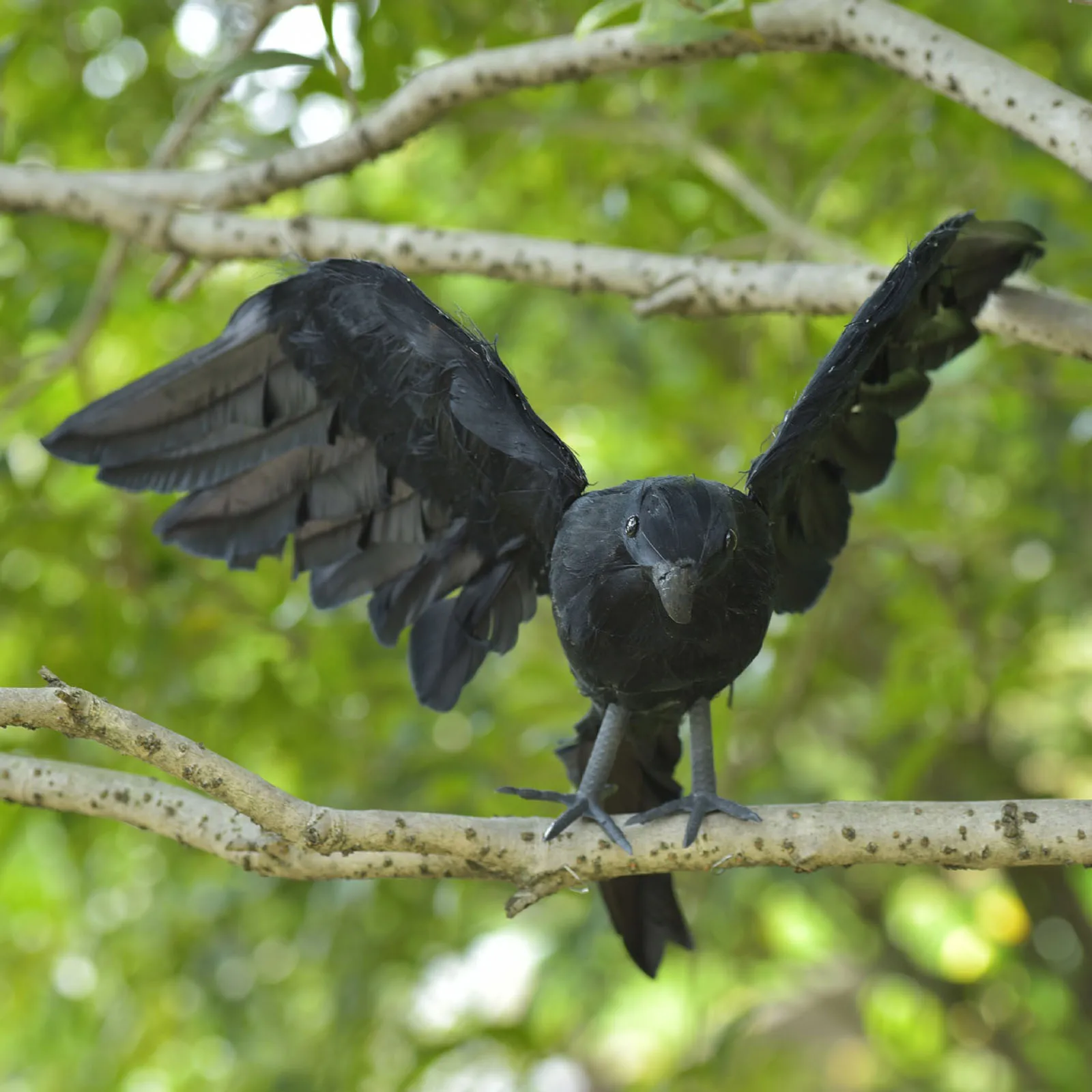 

Реалистичная черная ворона, модель животного, искусственная ворона, черная птица, реквизит, страшное украшение для атмосферы на Хэллоуин