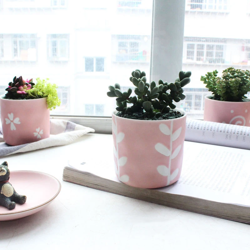 Керамический цветочный горшок с множеством мяса сердце молодой девушки розовый