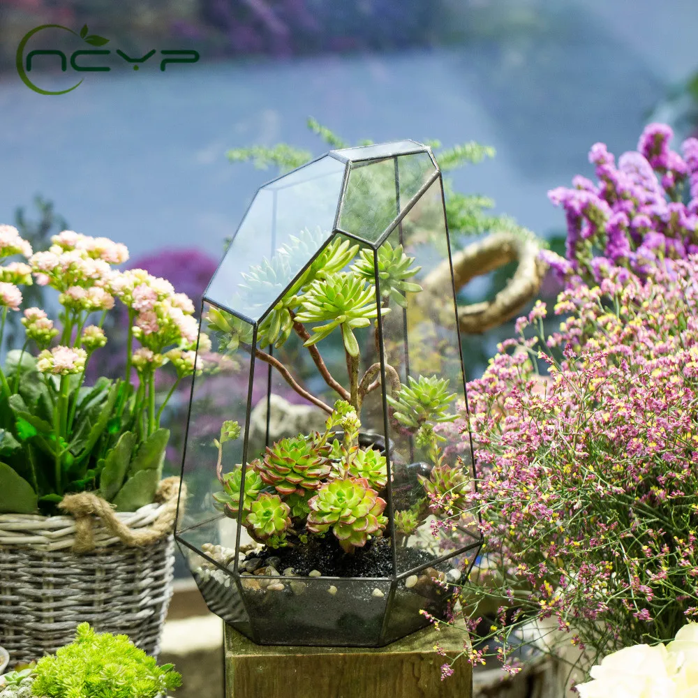 NCYP Irregular Glass Flower Pot for Succulents Glass Geometric Terrarium DIY Flowerpot Moss Ferns Miniature Bonsai Home Decor